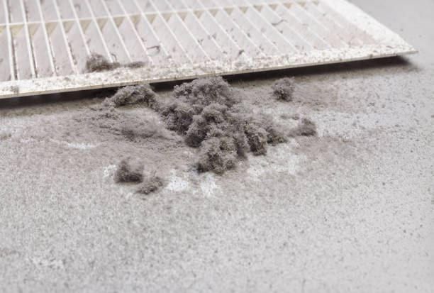 Best Professional Duct Cleaning Services  in Medpolis, IA